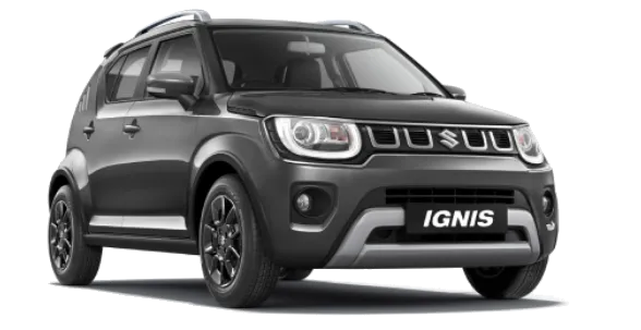 Nexa Ignis Grey Colour